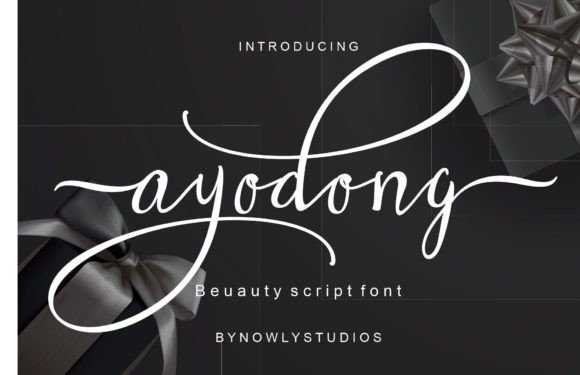 Ayodong: The Elegant Script Handwritten Font for Marketers