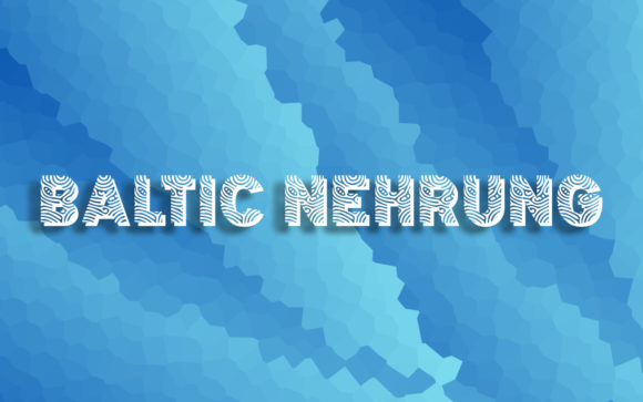 Baltic Nehrung: A Creative Decorative Font for Crafters