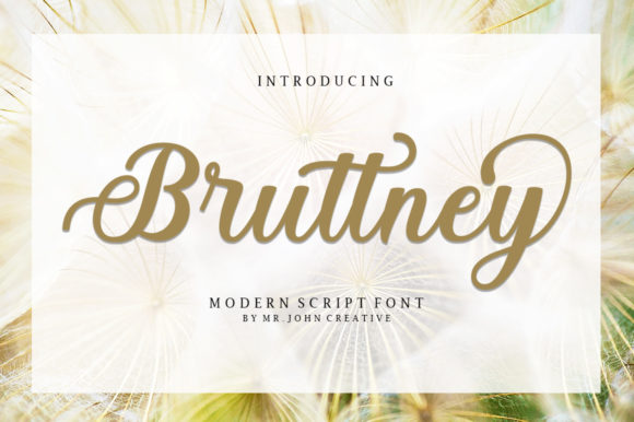 Bruttney: The Elegant Script Font for Marketers